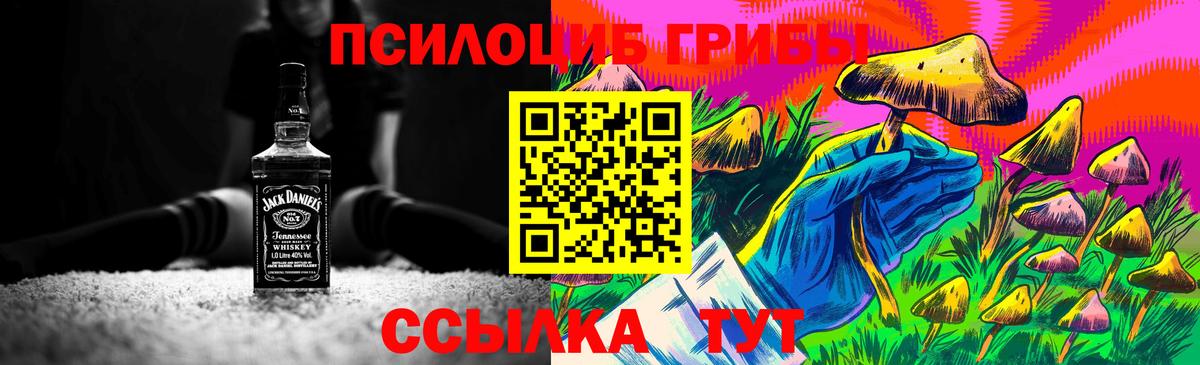Псилоцибиновые грибы мухоморы Богданович