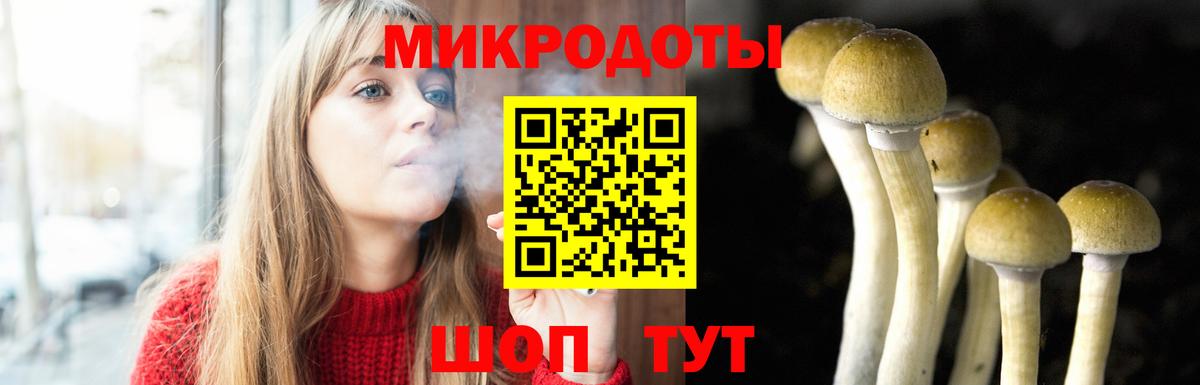 Богданович  Галлюциногенные грибы прущие грибы  Вход с VPN 