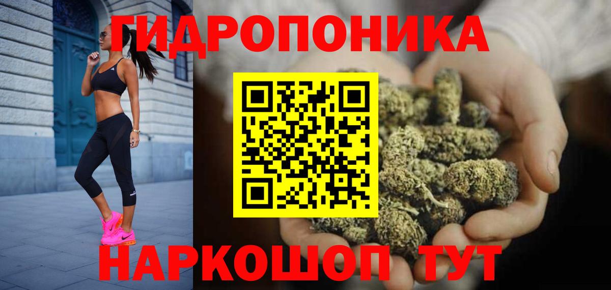 Канабис индика Богданович